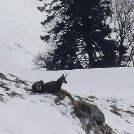 4 Personnes Gerardmer